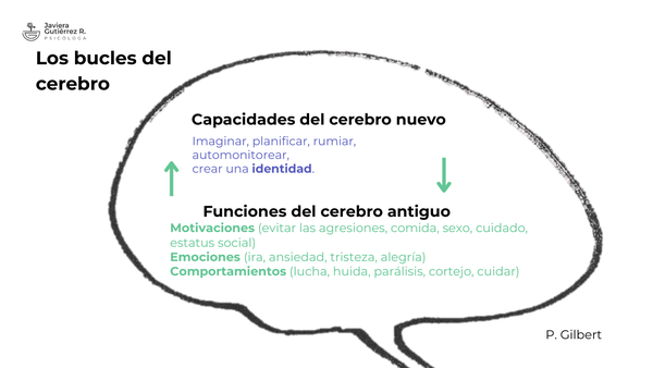 Interacción entre el cerebro antiguo y el cerebro nuevo.